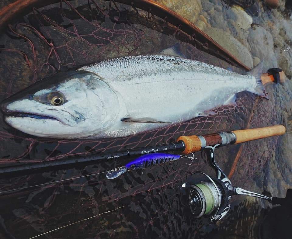 本間釣具店 フィッシャーズ 新潟 富山 石川 福井の釣り情報 通販 レンタル