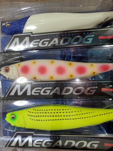 本間釣具店 フィッシャーズ 新潟 富山 石川 福井の釣り情報 通販 レンタル