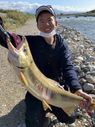 本間釣具店 フィッシャーズ 新潟 富山 石川 福井の釣り情報 通販 レンタル
