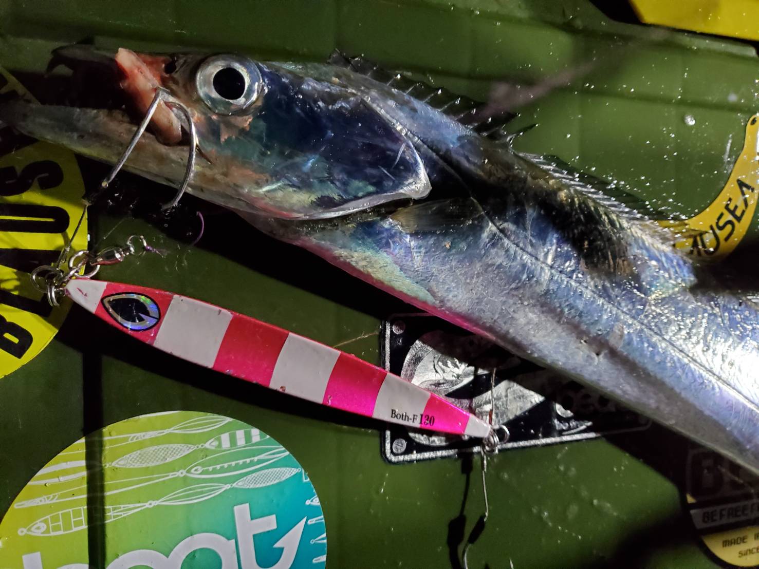 本間釣具店 フィッシャーズ 新潟 富山 石川 福井の釣り情報 通販 レンタル