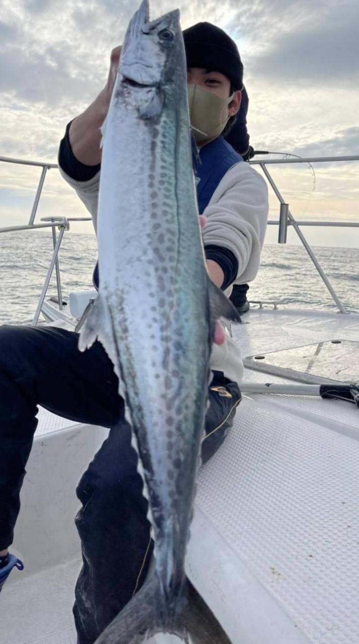 本間釣具店 フィッシャーズ 新潟 富山 石川 福井の釣り情報 通販 レンタル