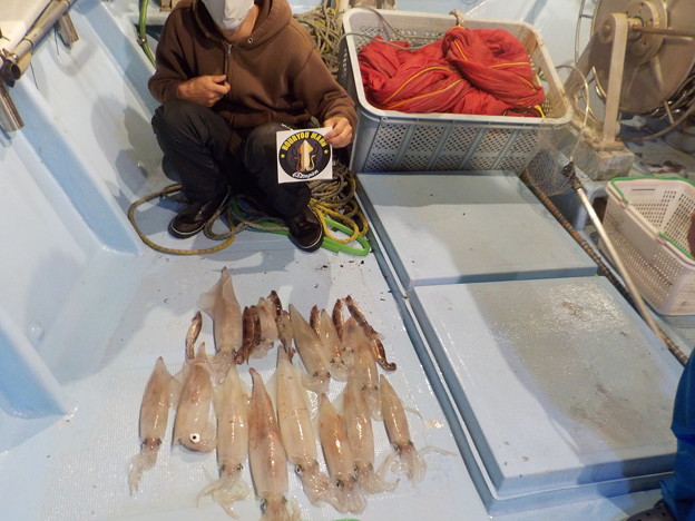 本間釣具店 フィッシャーズ 新潟 富山 石川 福井の釣り情報 通販 レンタル