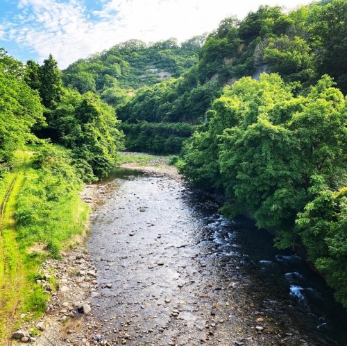 本間釣具店 フィッシャーズ 新潟 富山 石川 福井の釣り情報 通販 レンタル