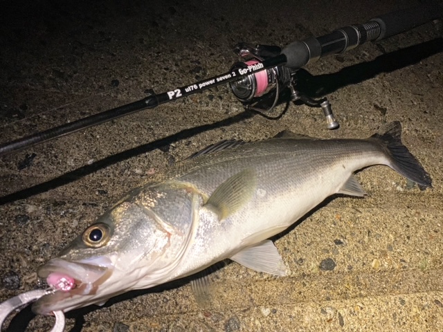 Go Phish P2 ul76 Power Seven 2 ゴーフィッシュ 【公式通販】