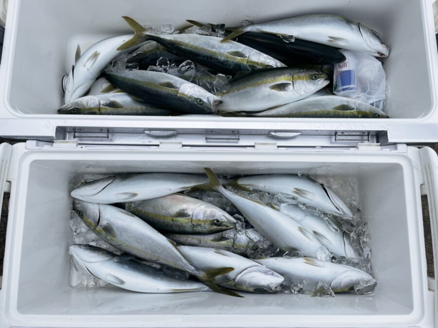本間釣具店 フィッシャーズ 新潟 富山 石川 福井の釣り情報 通販 レンタル