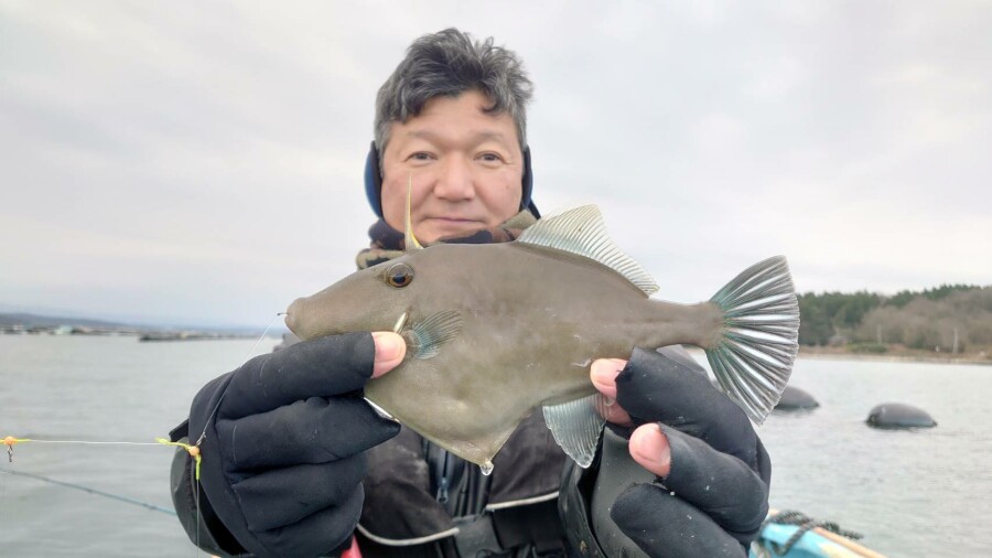 本間釣具店 フィッシャーズ 新潟 富山 石川 福井の釣り情報 通販 レンタル