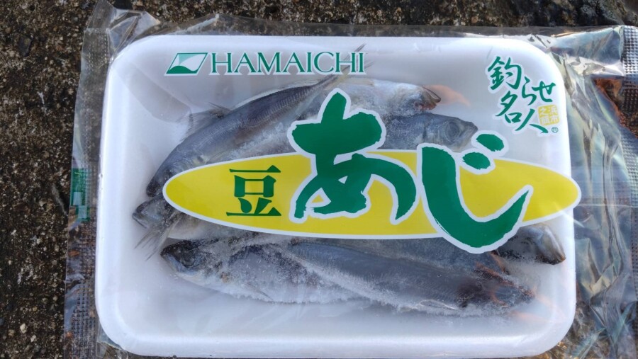 本間釣具店 フィッシャーズ 新潟 富山 石川 福井の釣り情報 通販 レンタル 本間釣具店 フィッシャーズ 新潟 富山 石川 福井の釣り情報 通販 レンタル