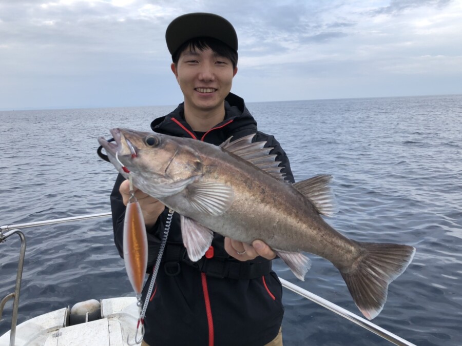 本間釣具店 フィッシャーズ 新潟 富山 石川 福井の釣り情報 通販