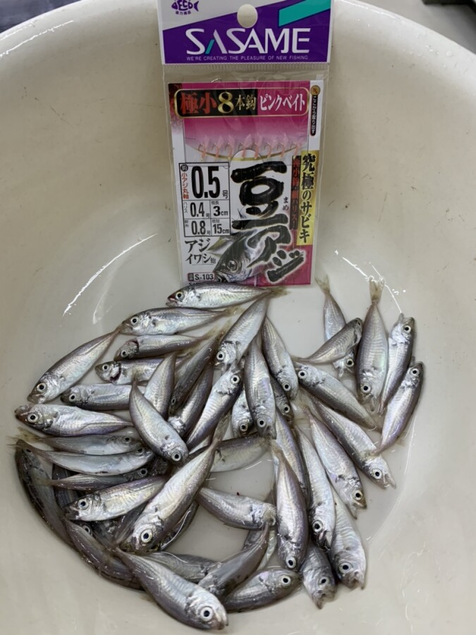本間釣具店 フィッシャーズ 新潟 富山 石川 福井の釣り情報 通販 レンタル