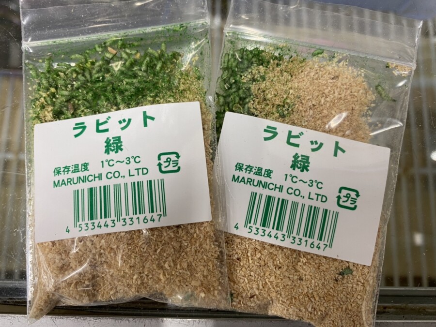 本間釣具店 フィッシャーズ 新潟 富山 石川 福井の釣り情報 通販 レンタル