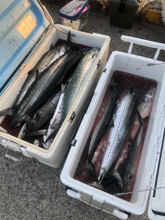 本間釣具店 フィッシャーズ 新潟 富山 石川 福井の釣り情報 通販 レンタル