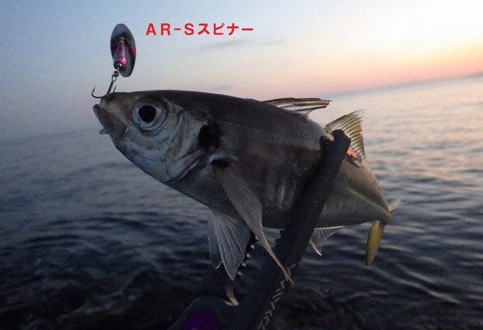 本間釣具店 フィッシャーズ 新潟 富山 石川 福井の釣り情報 通販 レンタル