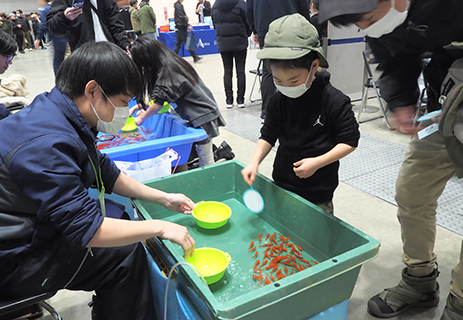 金魚すくい