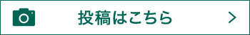 投稿はこちら