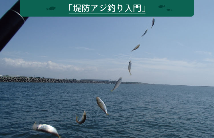 良型狙いなら 遠投ウキ釣り 堤防アジ釣り教室 Fishers ビギナーズガイド