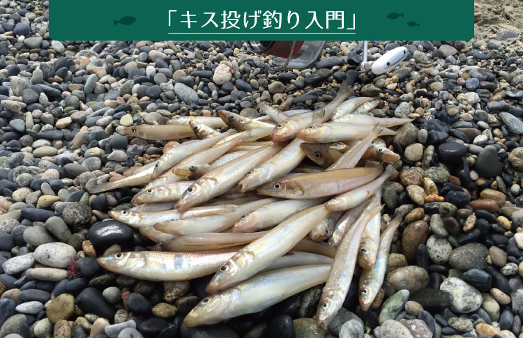 エサの種類と付け方は キス投げ釣り教室 Fishers ビギナーズガイド