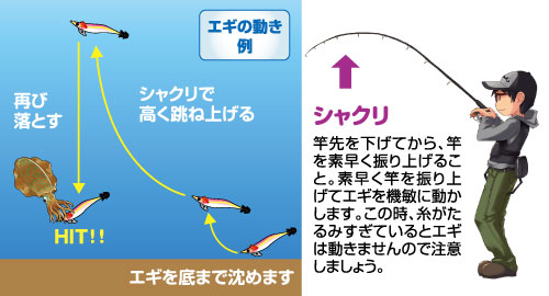 シャクリと沈下(フォール)の繰り返し