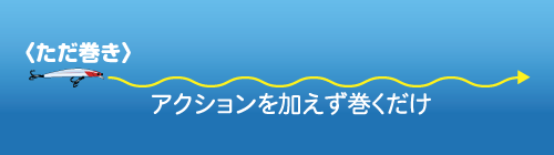 基本は【ただ巻き】