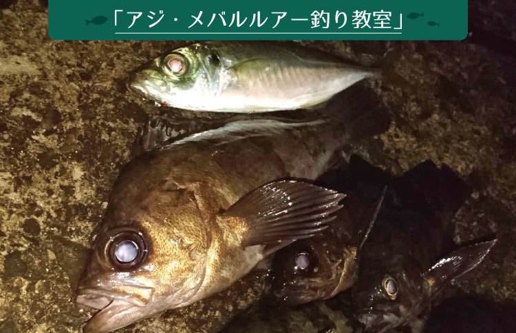 ルアーでアジ釣りに挑戦！